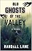 Old Ghosts of the Valley: A Southern Gothic Horror Novel set in the Appalachian Mountains of North Carolina