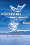 A Bird's Eye View Of Life with ADHD and EFD ...Ten Years Later A Bird's Eye View Of Life with ADHD and EFD ...Ten Years Later
