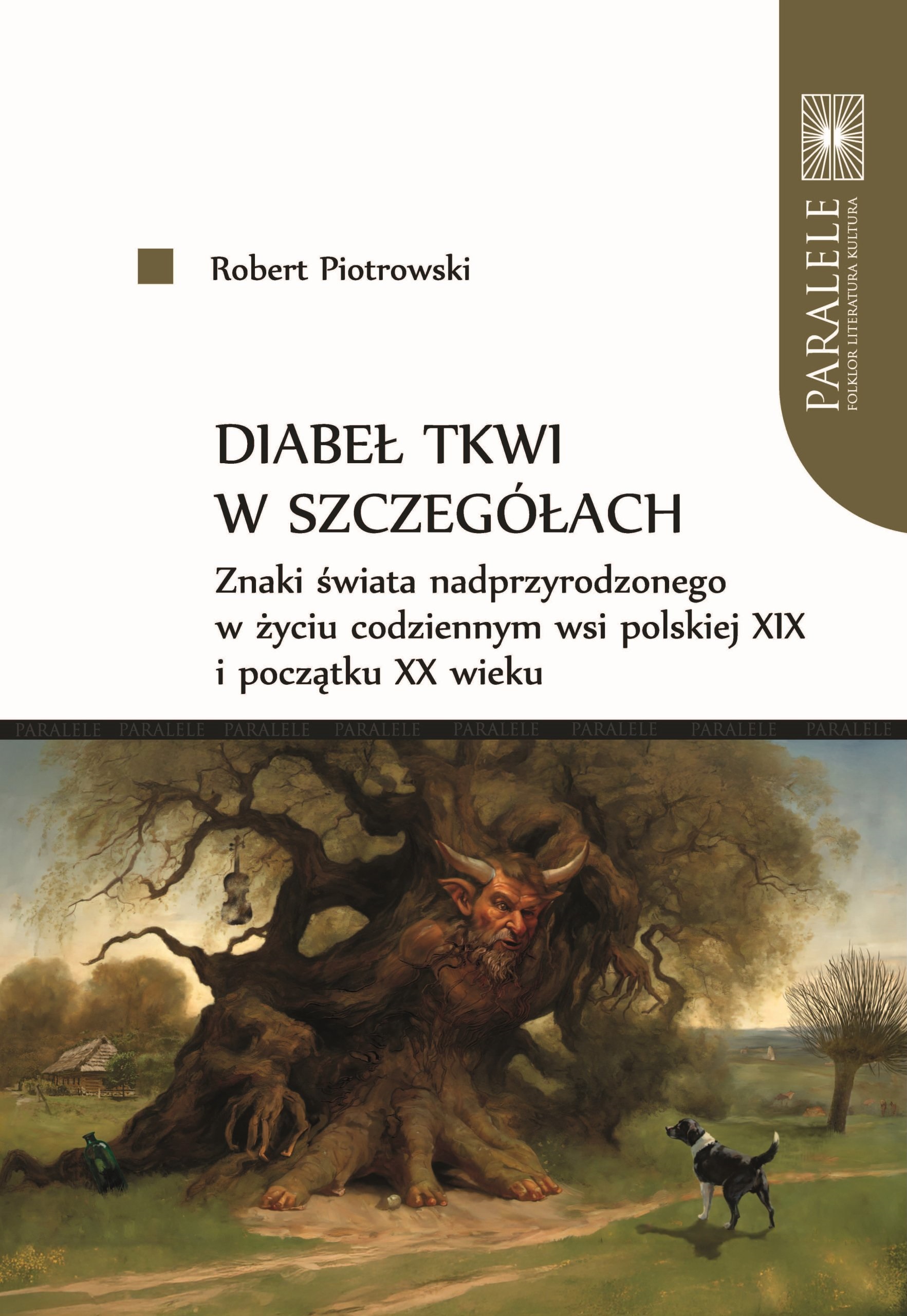 Diabeł tkwi w szczegółach. Znaki świata nadprzyrodzonego w życiu codziennym wsi (Paperback)