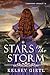 Stars in the Storm (Larkson...