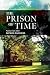 The Prison of Time by Patrick Summers