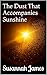 The Dust That Accompanies Sunshine by Susannah James