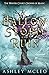 A Hallow of Storm and Ruin: Crowns of Magic Universe (The Winter Court Series)