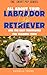 All Abut Your Labrador Retr...