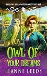 Owl of Your Dreams