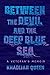 Between the Devil and the Deep Blue Sea: A Veteran's Memoir
