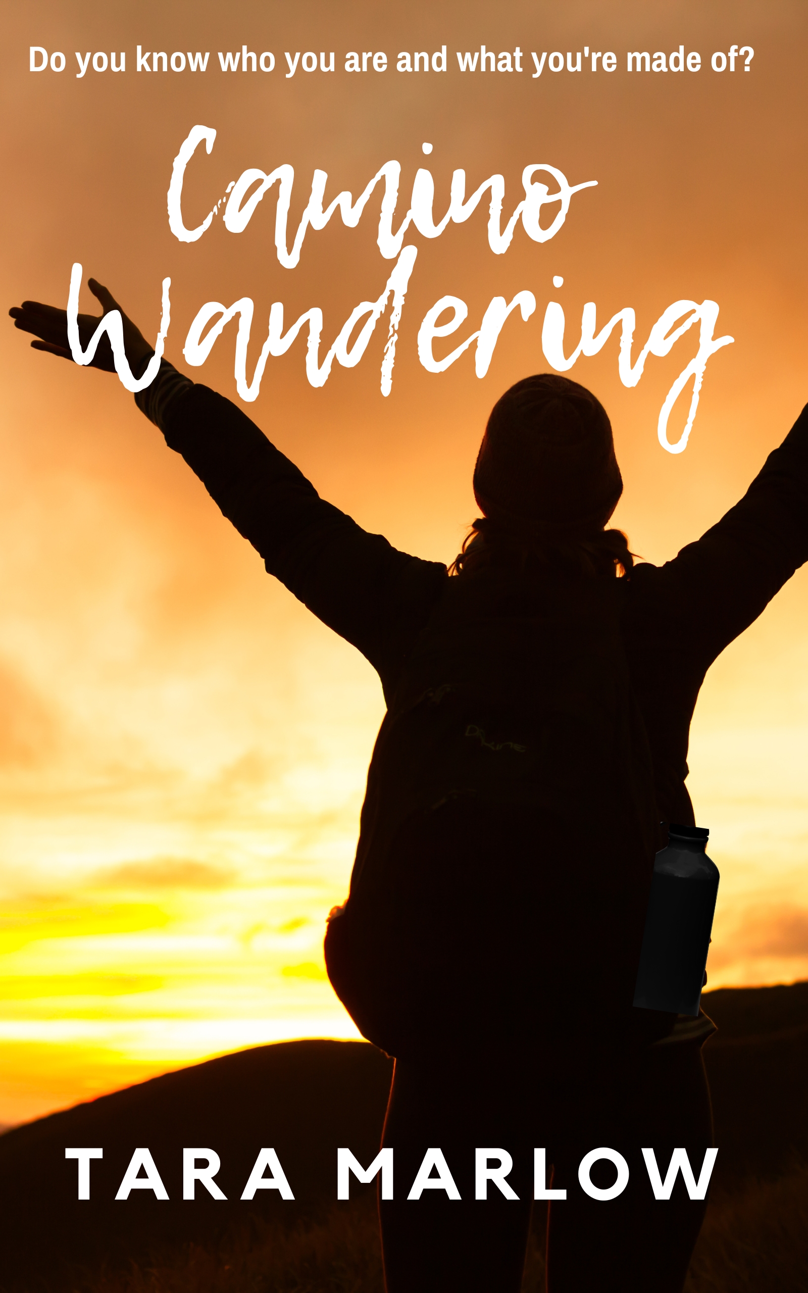 Camino Wandering (ebook)