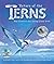 Return of the Terns: How Sc...