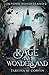 Rage in Wonderland: A Throu...