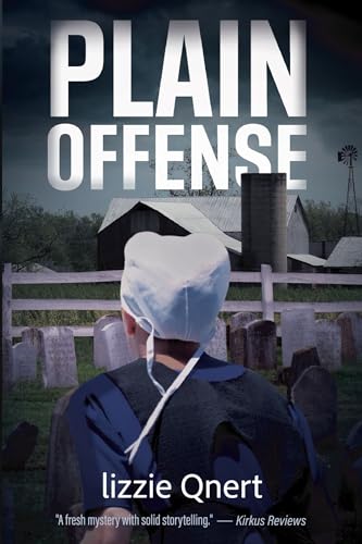 PLAIN OFFENSE (Kindle Edition)