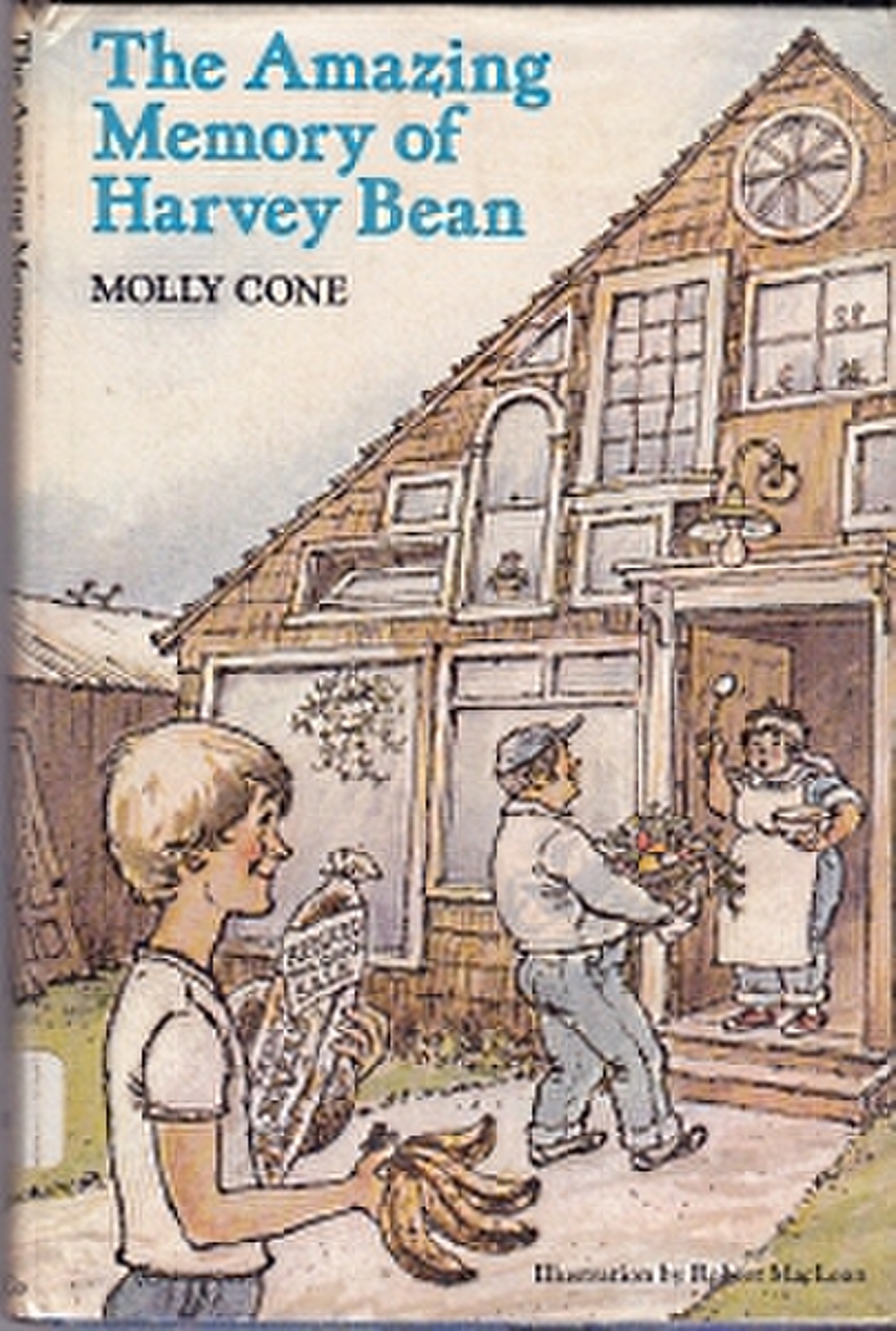 The Amazing Memory of Harvey Bean (Hardcover)