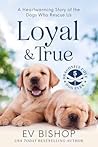 Loyal & True: A Heartwarming Story of the Dogs Who Rescue Us