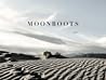 Moonboots