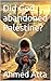 Did God abandoned Palestine? by Ahmed Atta