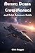 Aurora Dawn Crew Manual and...