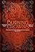Burning Crowns (Twin Crowns, #3)