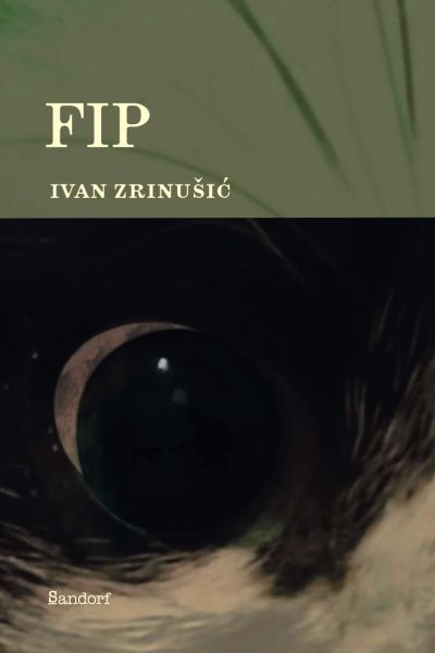 FIP (Paperback)