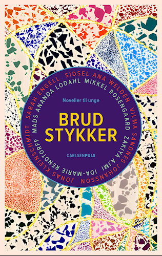 Brudstykker - Noveller til unge