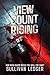 View Count Rising by Sullivan Ledger