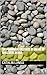 The Primordial Existence by Means of Intelligent Design (The Book of Modern Knowledge 3)