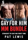 Gay for Him MM Bu...