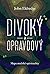 Divoký a opravdový: Mapa mužské spirituality