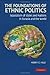 The Foundations of Ethnic P...