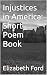 Injustices in America by Elizabeth Ford