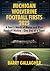 Michigan Wolverine Football...