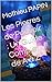 Les Pierres de Pouvoir : Un...