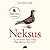 Neksus
