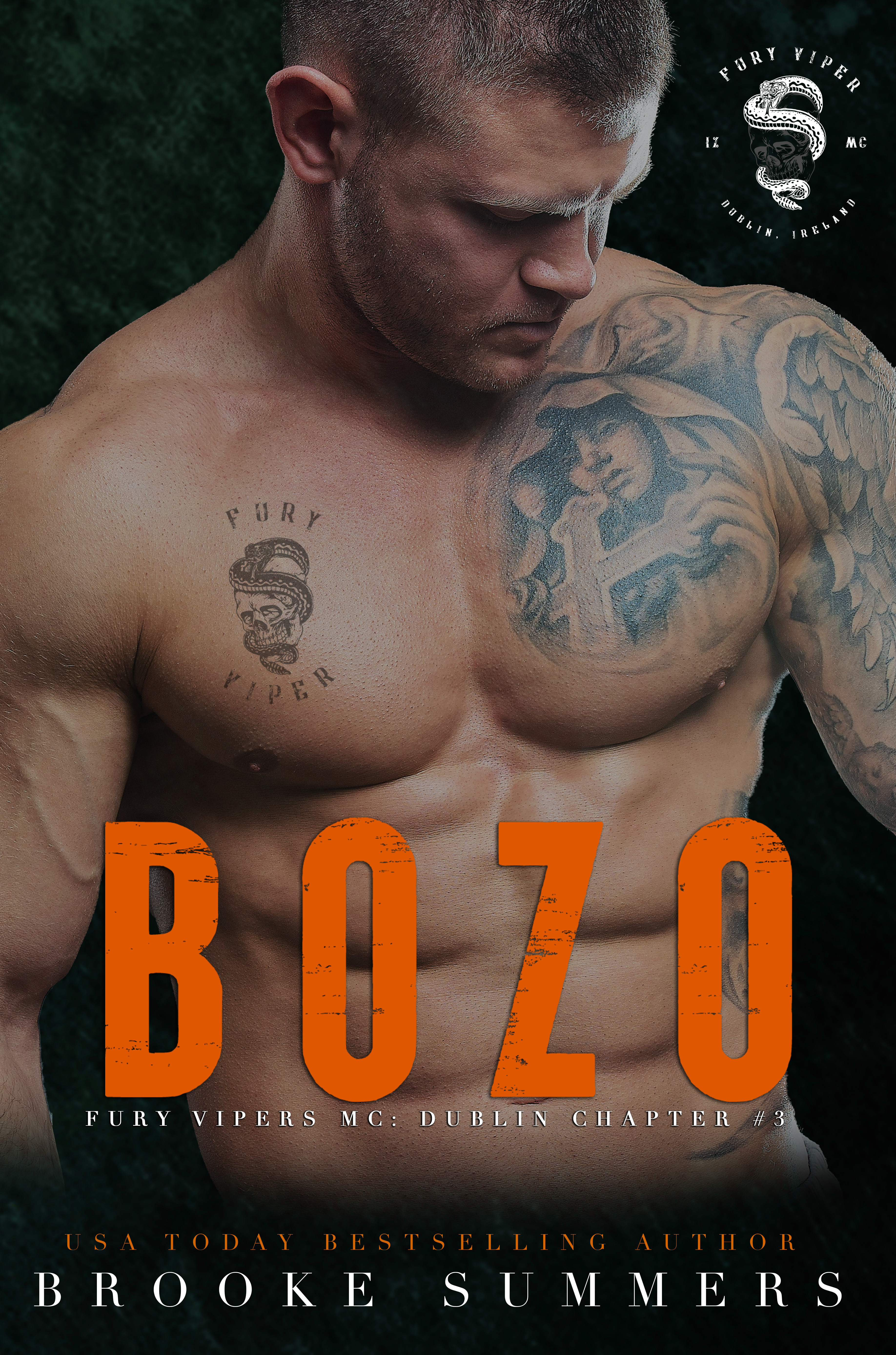 Bozo (Fury Vipers MC: Dublin Chapter Book 3)