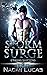 Storm Surge (Cyborg Shifters, #2)