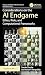 Considerations on the AI Endgame (Chapman & Hall/CRC Artificial Intelligence and Robotics Series)