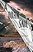 A Torn Sail (Connie Barrera...