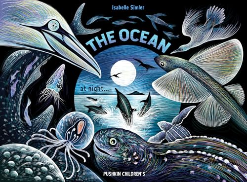 The Ocean at Night (Hardcover)