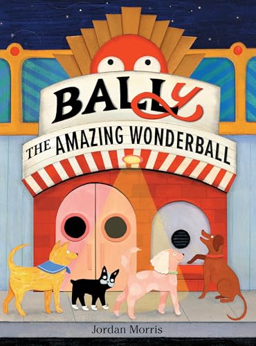 BALLy the Amazing Wonderball (Hardcover)