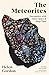 The Meteorites: Encounters with Outer Space & Deep Time