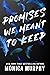 Promises We Meant to Keep (Lancaster Prep, #3)