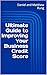 Ultimate Guide to Improving Your Business Credit Score (Bigger Bottom Line Ultimate Small Business Guide Books)