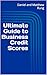 Ultimate Guide to Business Credit Scores (Bigger Bottom Line Ultimate Small Business Guide Books)
