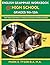 English Grammar Workbook fo...