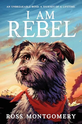 I Am Rebel (Hardcover)
