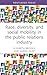 Race, Diversity, and Social Mobility in the Public Relations Industry (Global PR Insights)