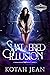 Shattered Illusion by Kotah Jean