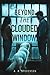 Beyond the Clouded Window