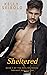 Sheltered (The Healing Series Next Generation Book 1)