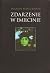 Zdarzenie w Emilcinie