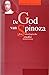 De God van Spinoza by Rinse H. Reeling Brouwer
