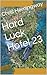 Hard Luck Hotel 23 by Chris Hemingway